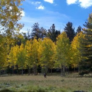 Meet your Posher, Kelle